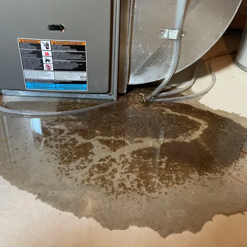 Appliance Leak Cleanup in Plymouth, WI